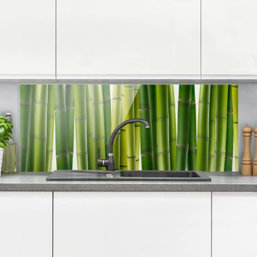 Glass Splashback - Bamboo Plants - Panoramic