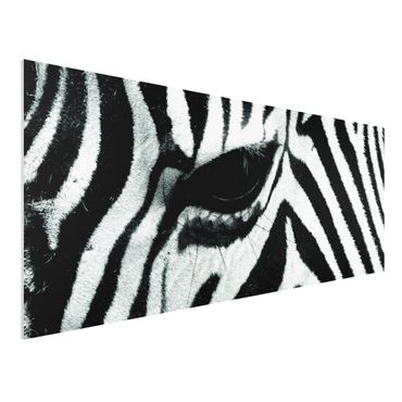 Forex print - Zebra Crossing No.2