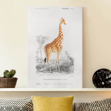 Print on canvas - Vintage Board Giraffe