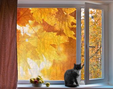 Window decoration - Autumn