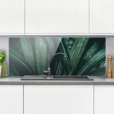 Glass Splashback - Green Palm Leaves - Panoramic