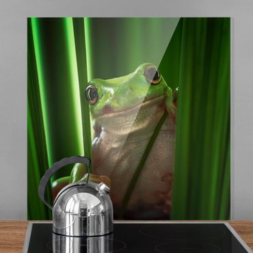 Glass Splashback - Happy Frog - Square 1:1