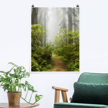 Poster forest - Misty Forest Path
