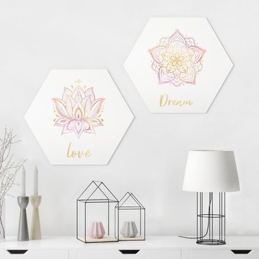 Forex hexagon - Mandala Dream Love Set Gold Pink