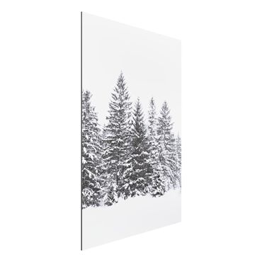 Print on aluminium - Dark Winter Landscape
