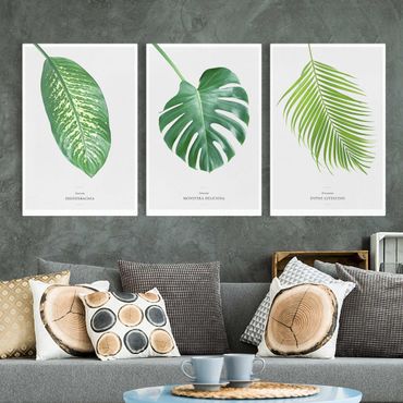 Print on canvas - Tropical Leaves
