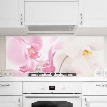 Glass Splashback - Delicate Orchids - Panoramic