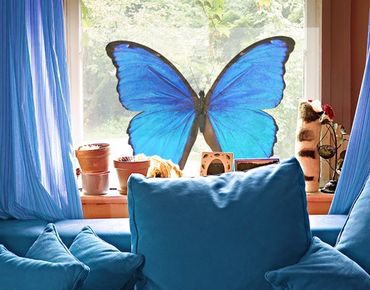 Window decoration - Blue Morpho