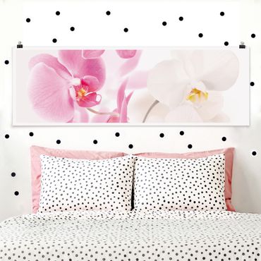 Panoramic poster flowers - Delicate Orchids