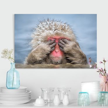 Print on canvas - Japanese Macaque