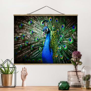 Fabric print with poster hangers - Noble Peacock