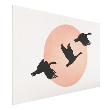 Print on forex - Birds In Front Of Rose Sun III