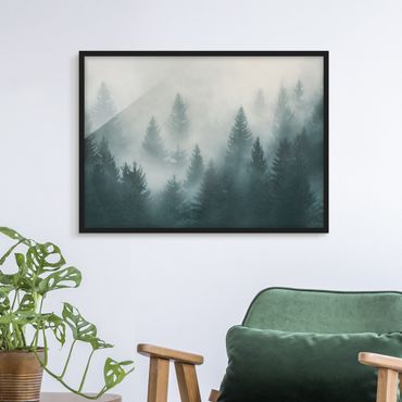 Framed poster - Coniferous Forest In Fog