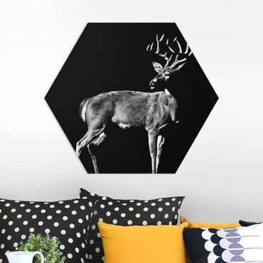 Forex hexagon - Deer In The Dark