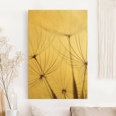 Canvas print gold - Gentle Grasses