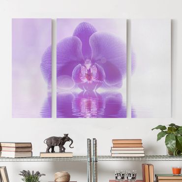 Print on canvas 3 parts - Purple Orchid On Water