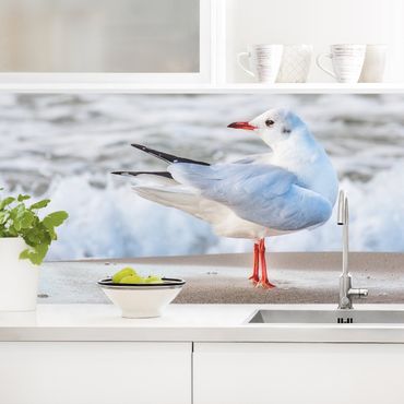 Kitchen wall cladding - Seagull On The Beach In Front Of The Sea