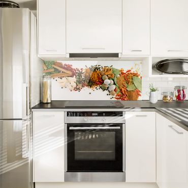 Glass Splashback - Spices And Dried Herbs - Panoramic