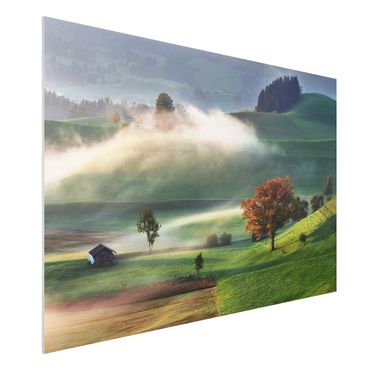 Forex print - Misty Autumn Day Switzerland