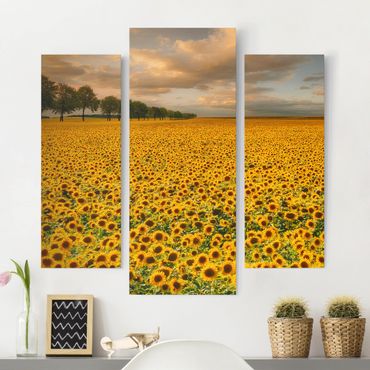 Print on canvas 3 parts - Field With Sunflowers