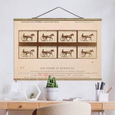Fabric print with poster hangers - Eadweard Muybridge - The horse in Motion