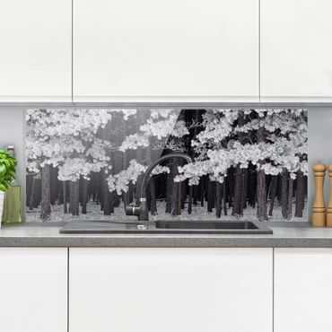Glass Splashback - Forest With Hoarfrost In Austria - Panoramic