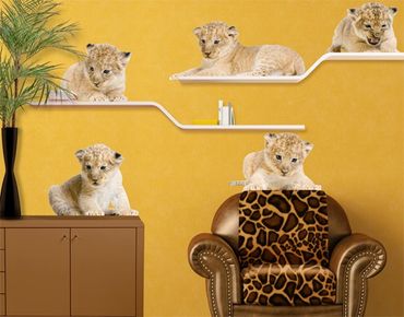 Wall sticker - No.647 Lion Babies Set