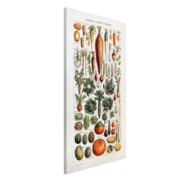 Magnetic memo board - Vintage Board Vegetables