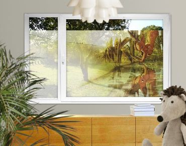 Window decoration - Reflection Of Squirricorn