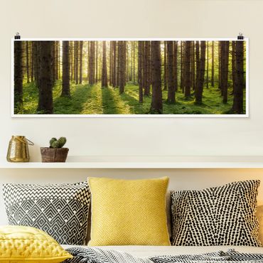 Panoramic poster forest - Sun Rays In Green Forest