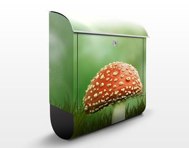 Letterbox - Fly Agaric