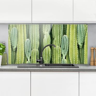 Glass Splashback - Cactus Wall - Landscape 1:2