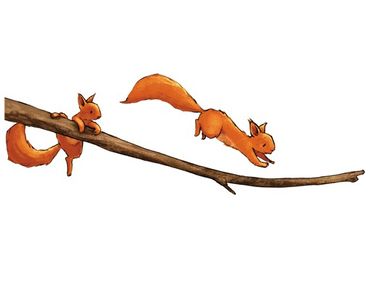 Window sticker - Squirrels On The Branch