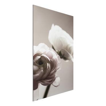 Print on aluminium - Focus On Dark Flower