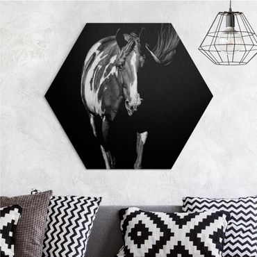 Alu-Dibond hexagon - Horse In The Dark
