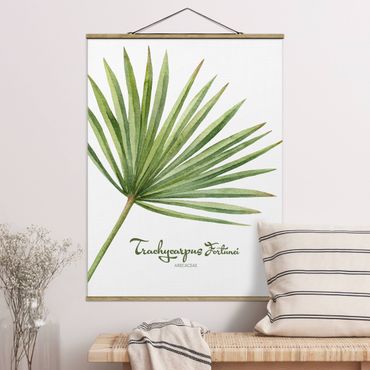 Fabric print with poster hangers - Watercolour Botany Trachycarpus Fortunei