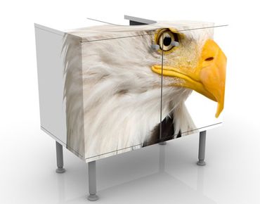 Wash basin cabinet design - Eye of the Eagle