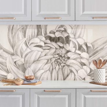 Kitchen wall cladding - Botanical Study Chrysanthemum I