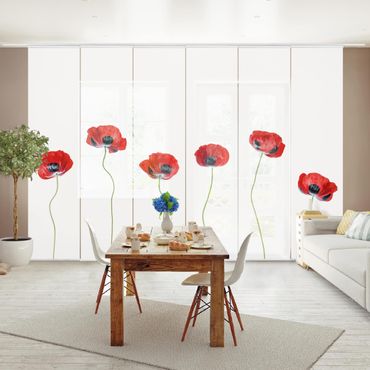 Sliding panel curtains set - Ladybird Poppy