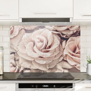 Glass Splashback - Roses Sepia With Water Drops - Landscape 2:3