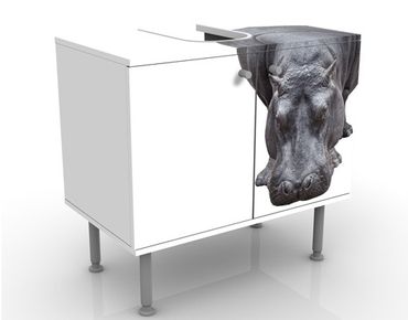 Wash basin cabinet design - Hippo