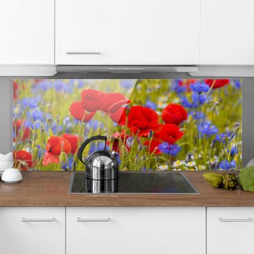 Glass Splashback - Summer Meadow With Poppies And Cornflowers - Panoramic