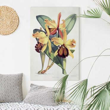 Print on canvas - Walter Hood Fitch - Orchid