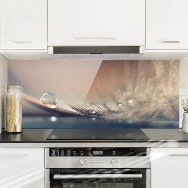 Glass Splashback - Story Of A Water Drop - Panoramic