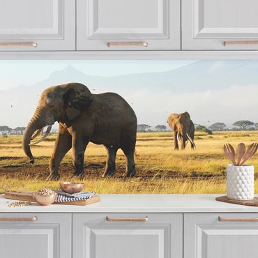 Kitchen wall cladding - Elephants In Front Of The Kilimanjaro In Kenya