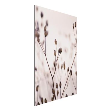 Print on aluminium - Dark Buds On Wild Flower Twig