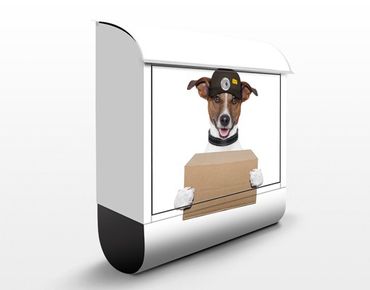 Letterbox - Dog With Package
