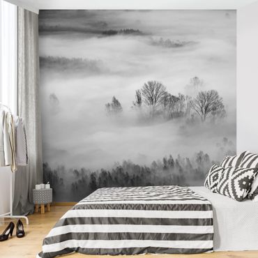 Adhesive wallpaper forest - Fog At Sunrise Black And White
