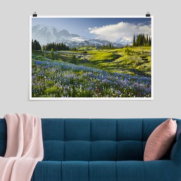 Panoramic poster nature & landscape - Mountain Meadow With Blue Flowers in Front of Mt. Rainier