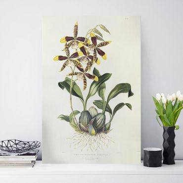 Print on canvas - Maxim Gauci - Orchid II